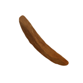 Selected stool illustration